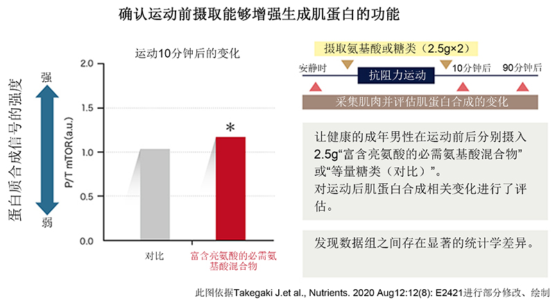 “富含亮氨酸的必需氨基酸混合物”可在运动中使肌肉保持良好状态！还有助于运动后缓解疲劳！