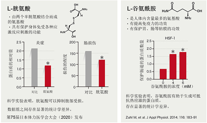 “胱氨酸/谷氨酰胺混合物”可预防运动时的疲劳！