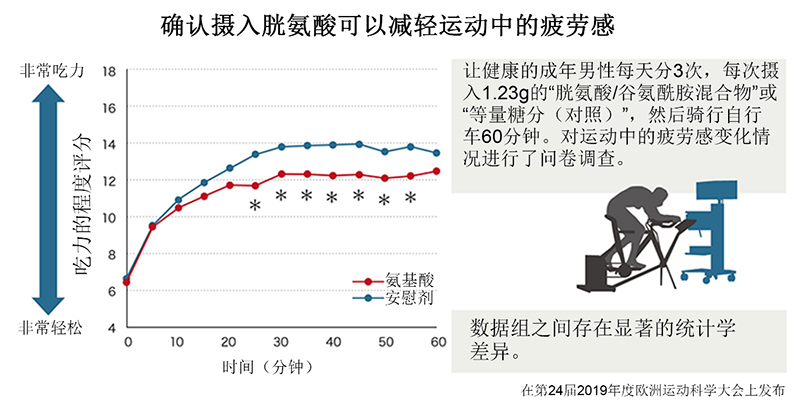 运动能力与能量使用之间的关系！“胱氨酸”可将类脂质作为能量源加以利用，从而帮助我们缓解疲劳