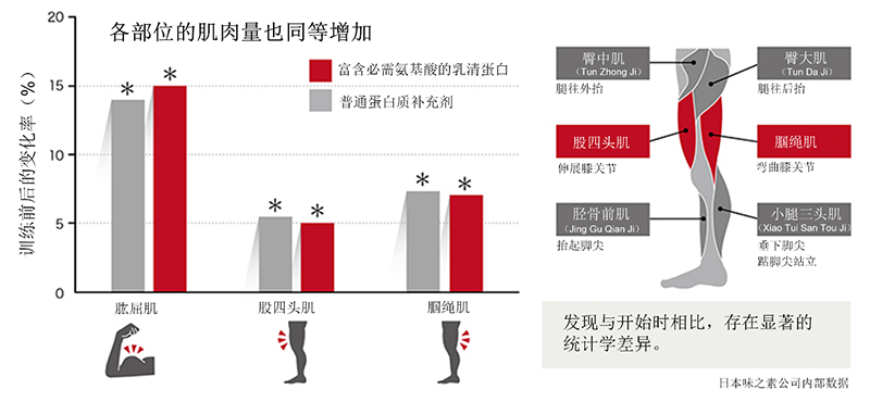 “富含必需氨基酸的乳清蛋白”能够提高训练中肌肉量的增加效率