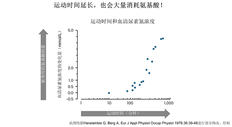 构成人体大部分的氨基酸与肌肉是什么关系？运动时肌肉会减少！