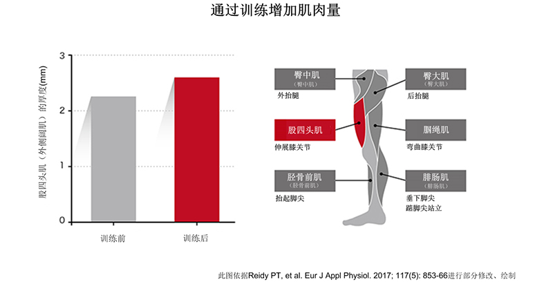 提升训练效果的关键是营养和休息。