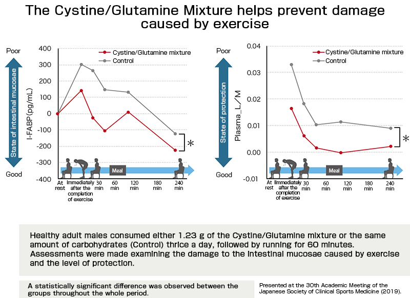 'Cystine/Glutamine Mixture' Prevents Fatigue When Exercising!'