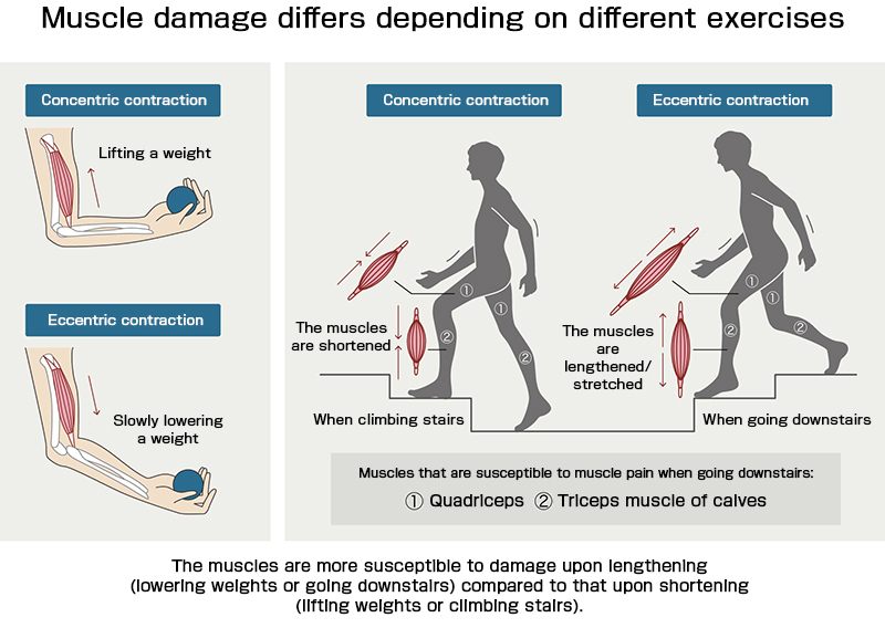 Rapid recovery for muscles is important to achieve optimum performance. What should we do?