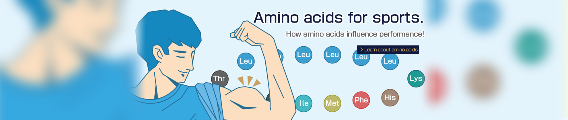 Amino acids for sports.How amino acids influence performance! Learn about amino acids