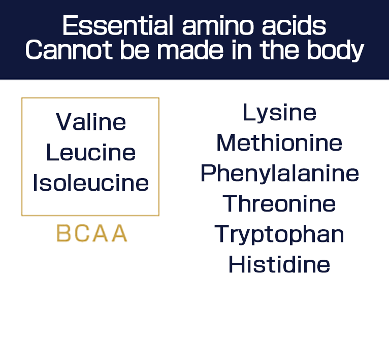 Essential amino acids  Cannot be made in the body Valine  Leucine  Isoleucine  Lysine  Methionine  Phenylalanine  Threonine (Threonine)  Tryptophan  Valine  Histidine