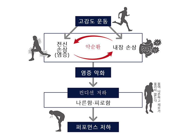 운동 중 피로를 예방하는 “시스틴·글루타민”!