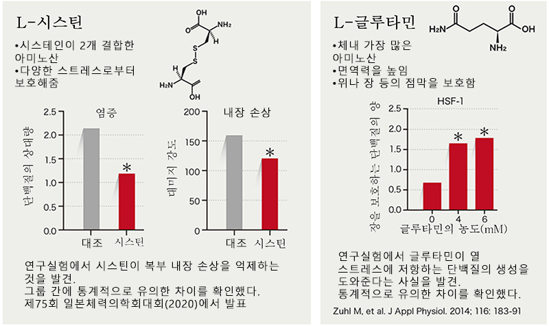 운동 중 피로를 예방하는 “시스틴·글루타민”!