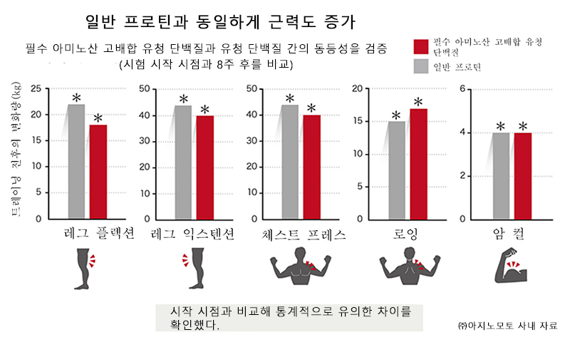 트레이닝과 함께 근단백 합성을 높여주는 “필수 아미노산 고배합 유청 단백질”