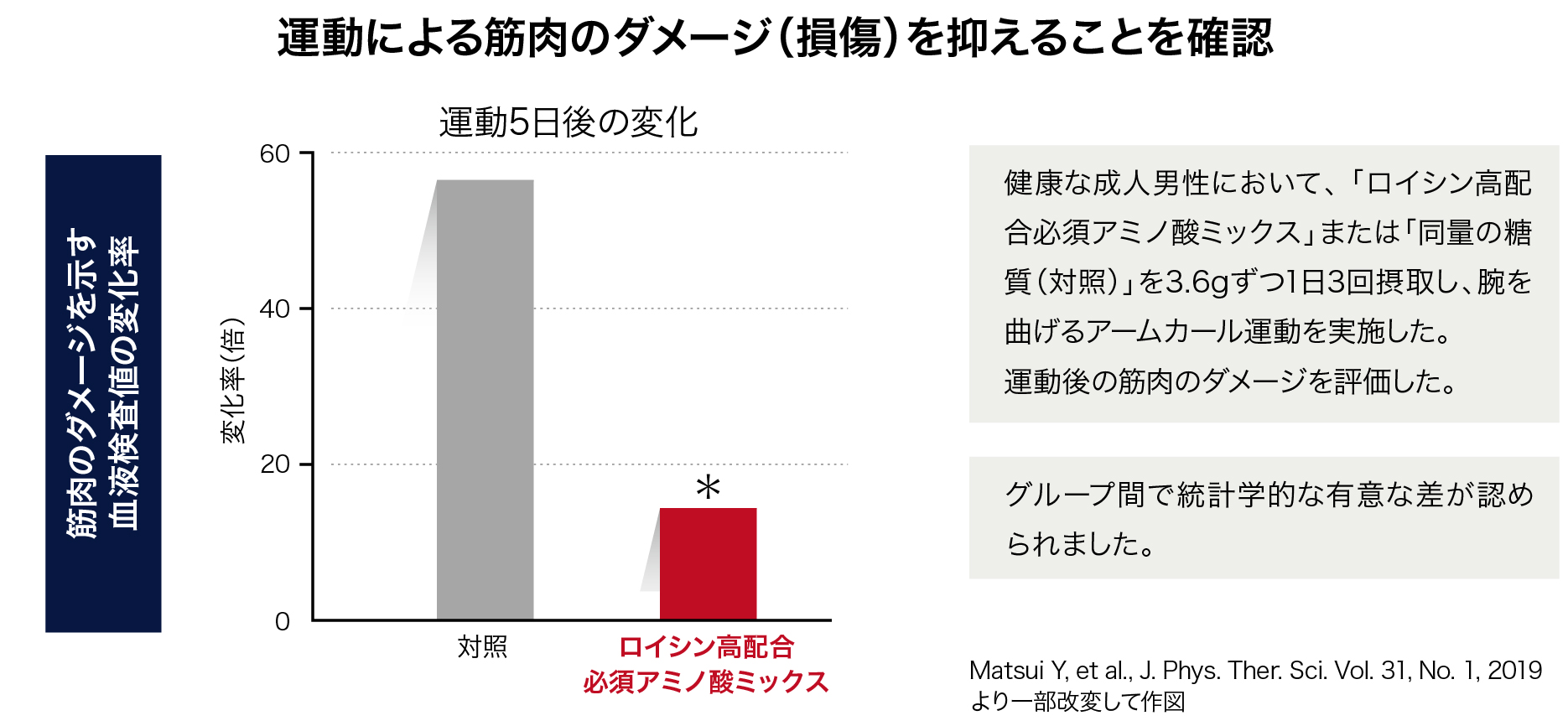ロイシン高配合必須アミノ酸の摂取で筋肉へのダメージを抑えられる