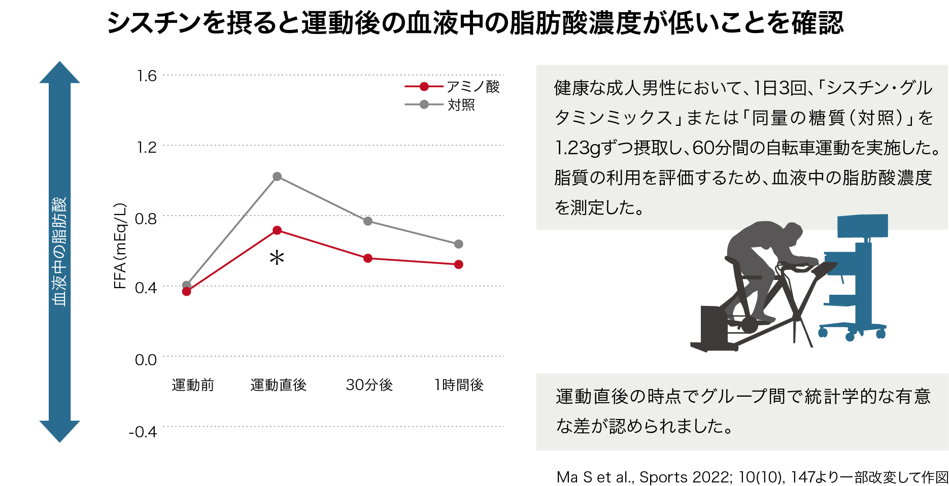 シスチンを摂取することで運動後の血液中の脂肪酸濃度が低下する