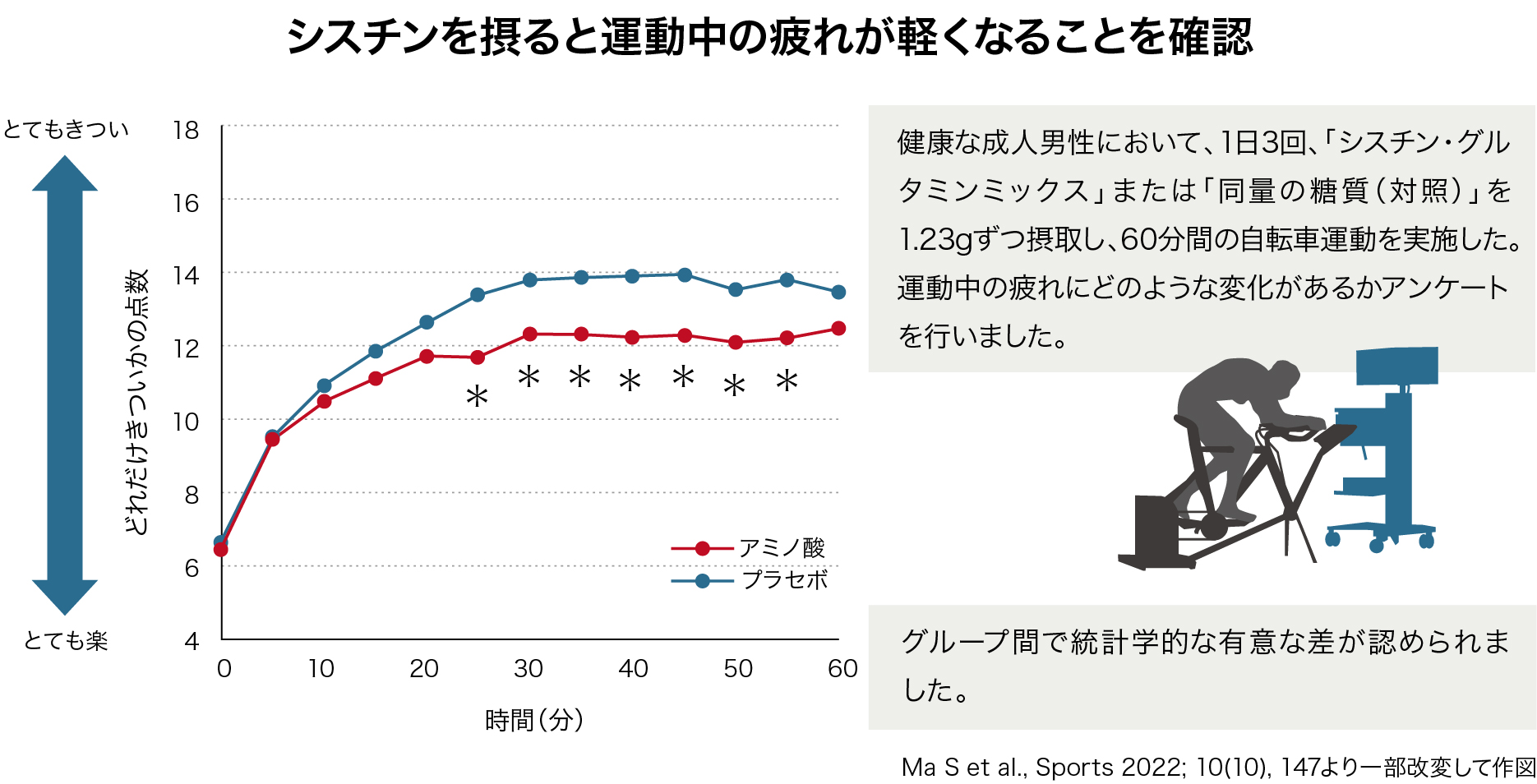シスチンを摂取すると運動中の疲れが軽くなる