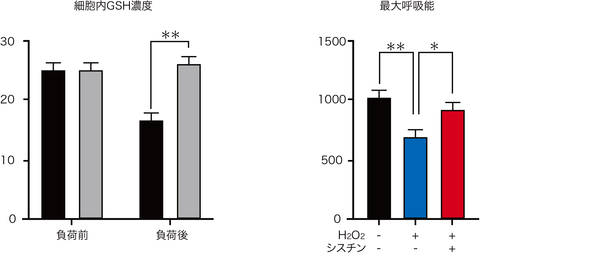 ［学会・セミナー報告］日本アミノ酸学会主催　第6回産官学連携シンポジウムにおいて、シスチンの2つの効果について発表