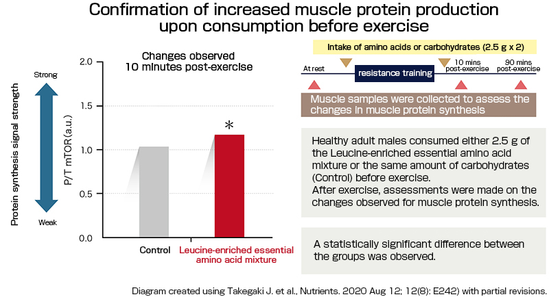 Taking essential amino acids rich in leucine before exercise promotes muscle protein synthesis.