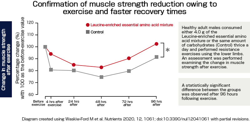 Accelerate muscle recovery by taking essential amino acids rich in leucine