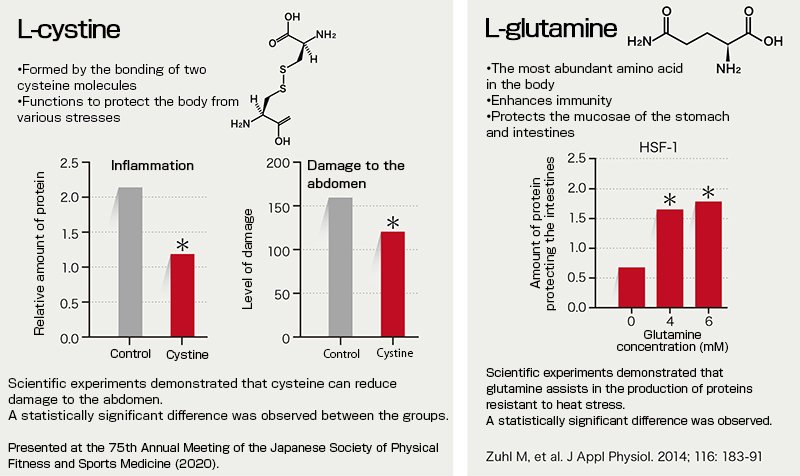 Cystine and glutamine can help protect the body from damage