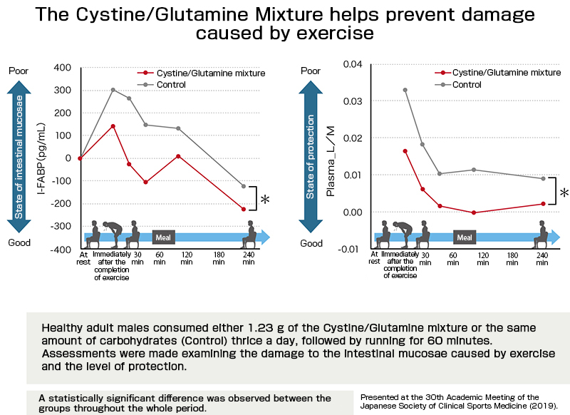 Cystine and glutamine mix protects against exercise-related damage