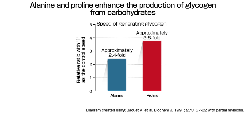 Alanine and proline enhance the production of glycogen from carbohydrates.
