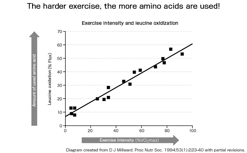 Relationship between exercise intensity and amino acid utilization
