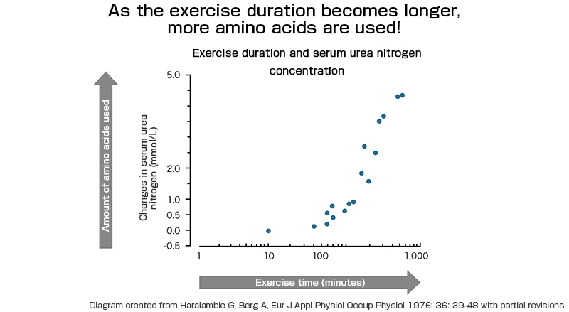 Relationship between exercise time and amino acid utilization
