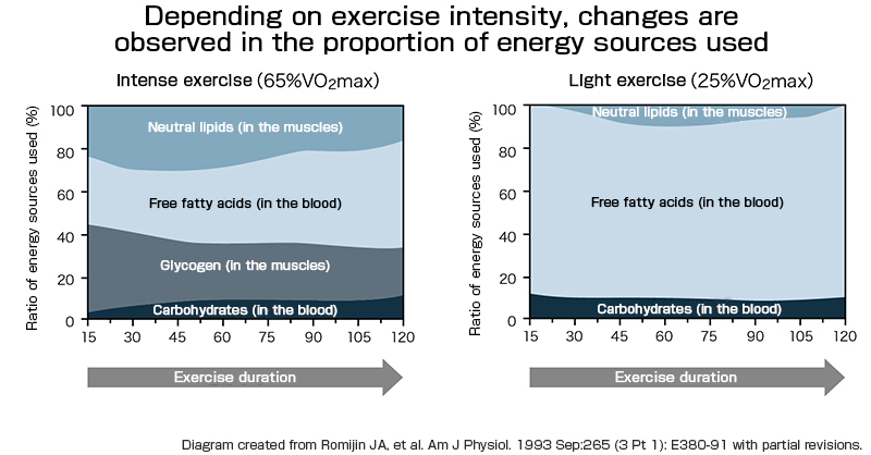 Differences in exercise intensity and the proportion of energy sources used