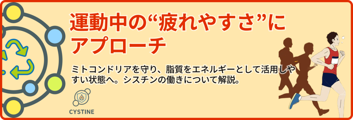 運動中の“疲れやすさ”にアプローチ