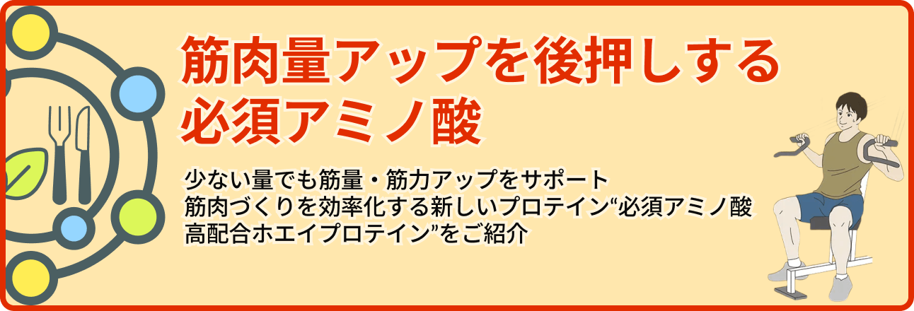 筋肉量アップを後押しする必須アミノ酸