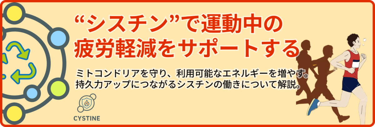 シスチンで運動中の疲労軽減をサポートする