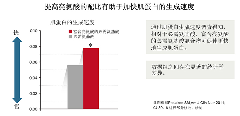 增加亮氨酸的含量有助于加速肌肉蛋白质的生成。