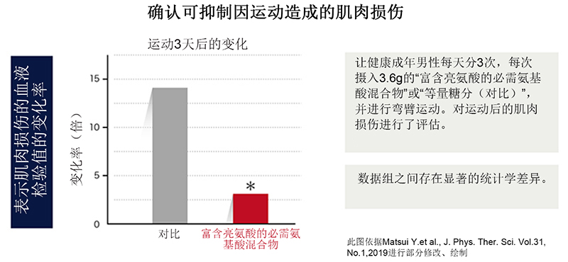 摄入富含亮氨酸的必需氨基酸可减少肌肉损伤。