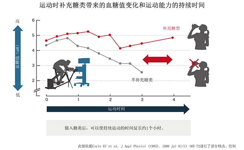 运动过程中补充碳水化合物引起的血糖水平变化与运动持续时间的关系
