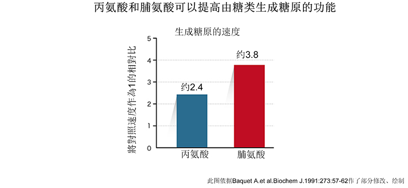 丙氨酸和脯氨酸能促进碳水化合物转化为糖原。
