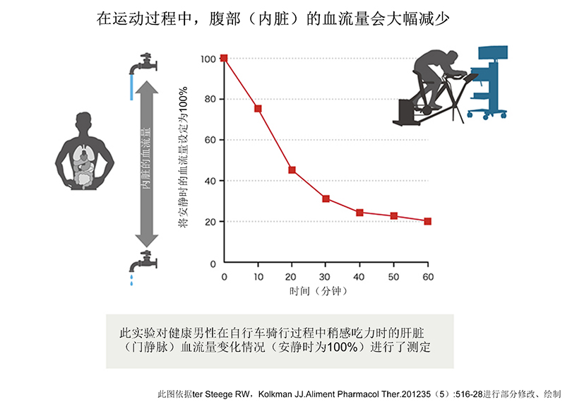 运动时间与内脏器官血容量的关系