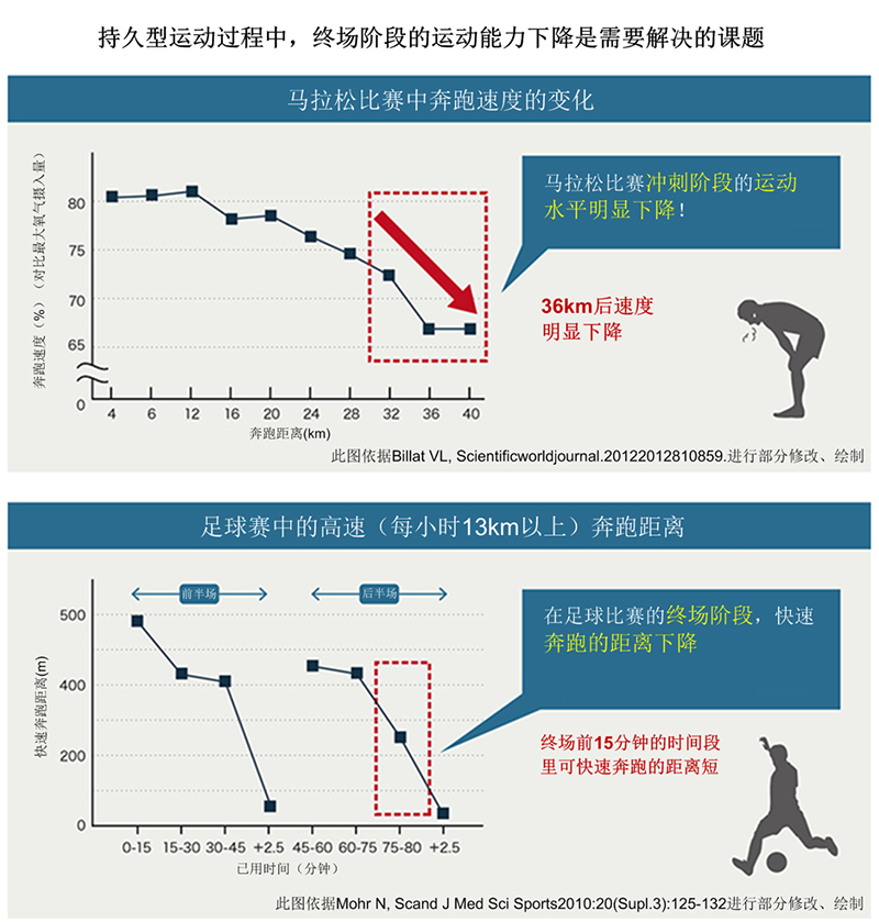 在耐力运动中,最后阶段的成绩下滑是一个问题。