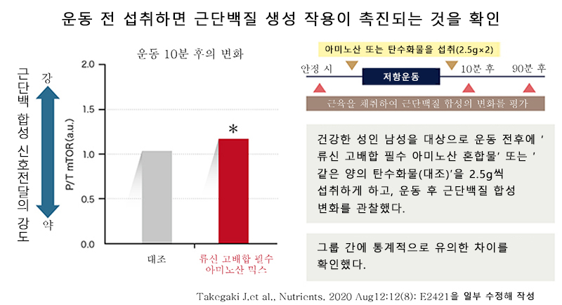 운동 전에 류신 고배합 필수 아미노산을 섭취하여 근육 단백질의 합성을 촉진한다