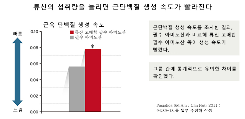 류신의 배합량을 늘림으로써 근육 단백질을 만드는 속도가 빨라진다.