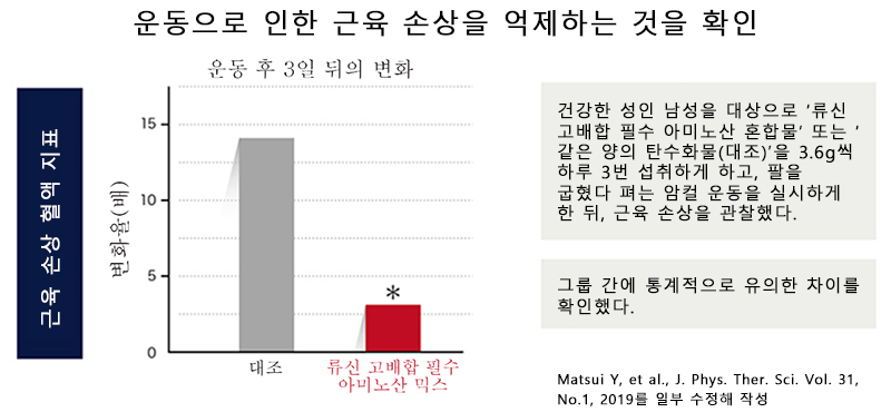 류신 고배합 필수 아미노산의 섭취로 근육에의 데미지를 억제할 수 있다