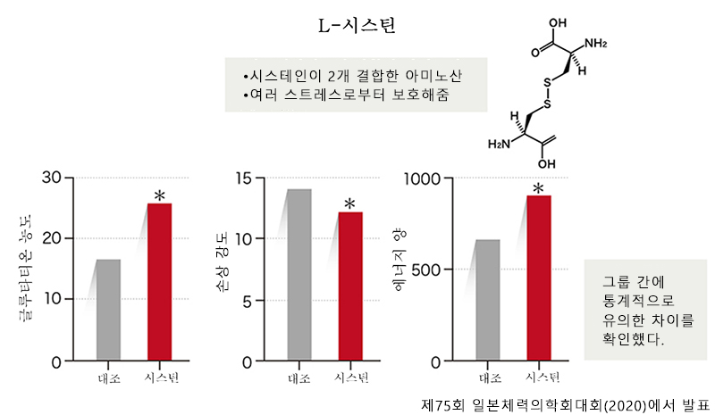 시스틴은 다양한 스트레스로부터 몸을 보호하는 기능을 가지고