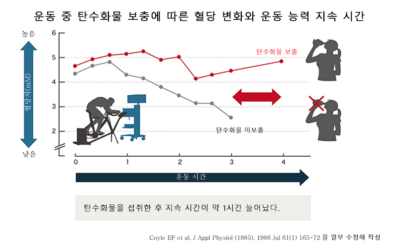 운동시 탄수화물 보급에 의한 혈당치의 변화와 성과의 지속 시간의 관계