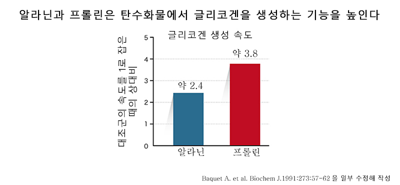 알라닌과 프롤린은 탄수화물에서 글리코겐을 만드는 기능을 향상시킵니다.