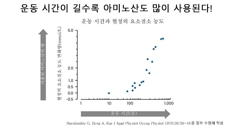 운동 시간과 아미노산 이용의 관계