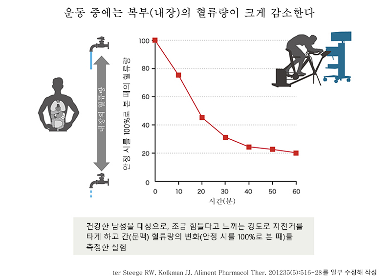 운동 시간과 내장의 혈액량 사이의 관계