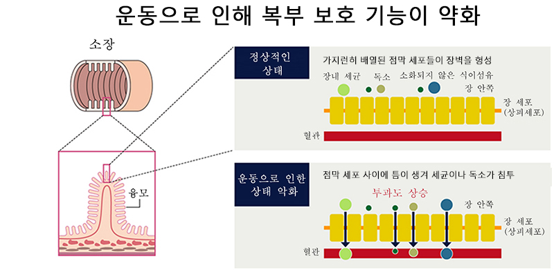 운동으로 배를 지키는 일이 낮아진다.