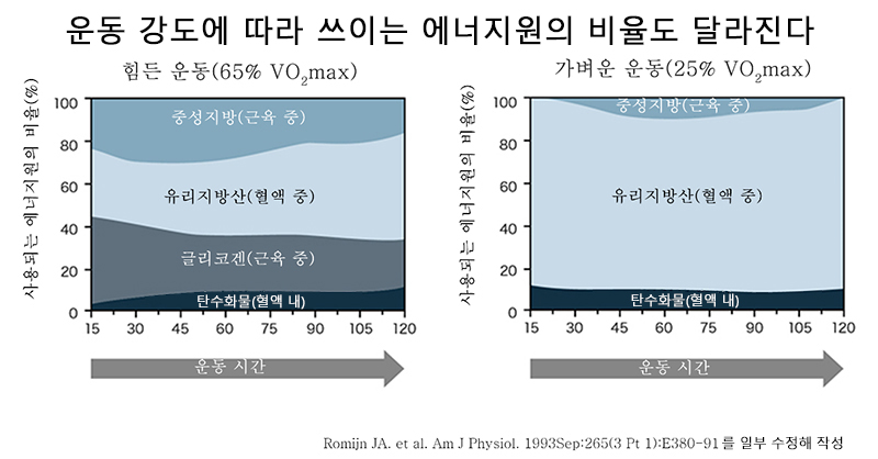 운동의 강도와 사용되는 에너지원의 비율의 차이