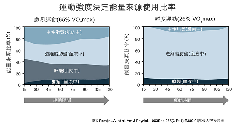 運動強度和能量來源比例的差異