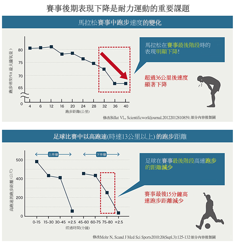 耐力運動最後階段表現下降是一個問題。